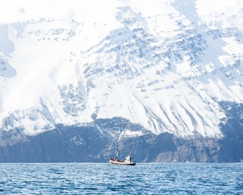 'Туры в Арктику: захватывающие приключения в ледяном краю