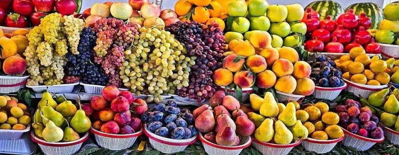 'Солнечный Узбекистан – царство фруктов и бахчевых культур