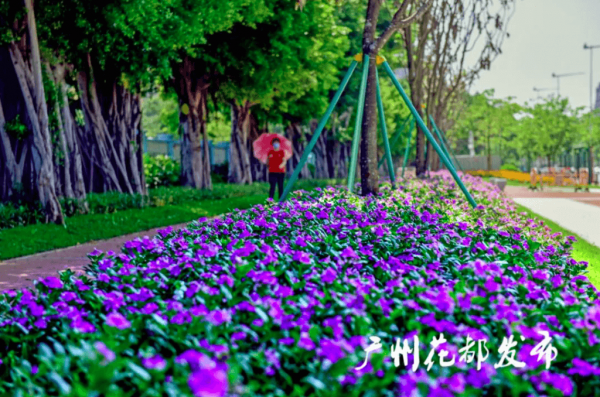 Новые парки Гуанчжоу. Карманные парки в Китае.